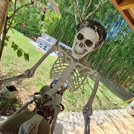 Mas Laborde Bed & Breakfast