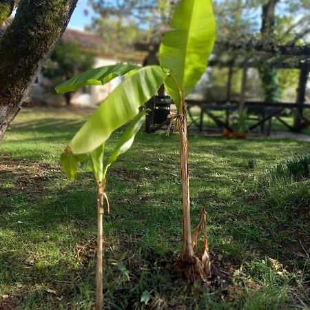 Mas Laborde Mauroux (Lot)