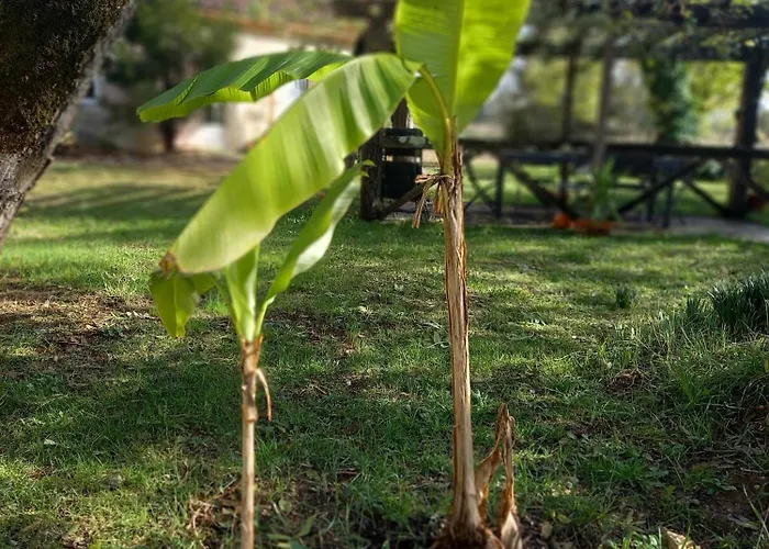 Mas Laborde Mauroux (Lot)