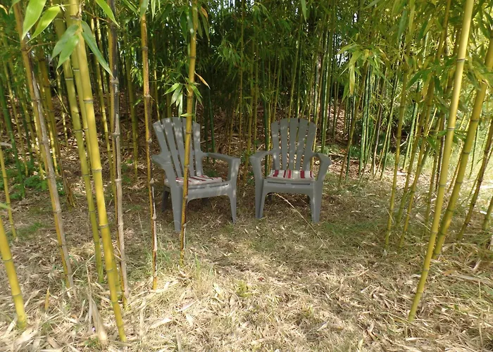 Bed and Breakfast Mas Laborde